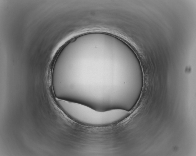 X0000096451510200802211222