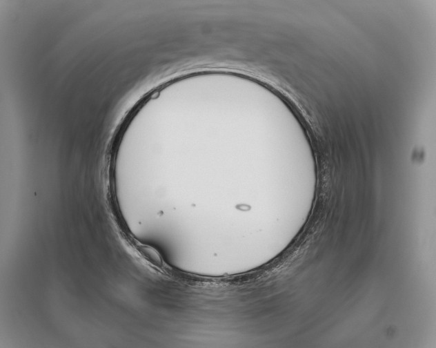 X0000096451511200802211222