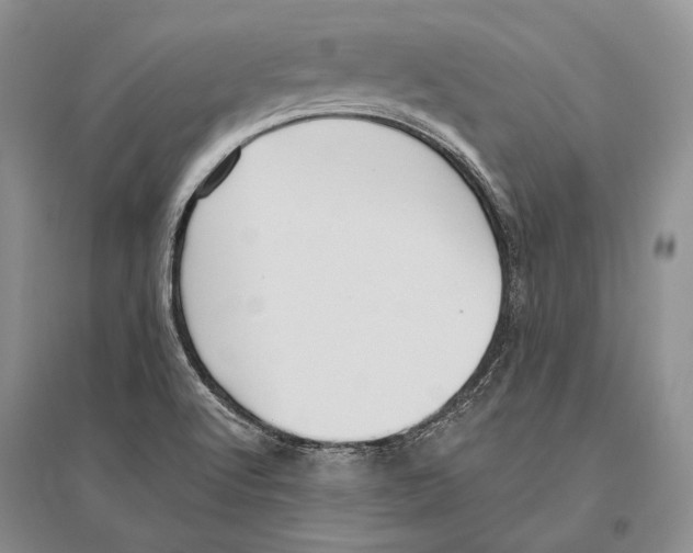 X0000096451512200802211222