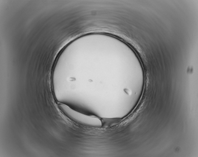 X0000096451513200802211222