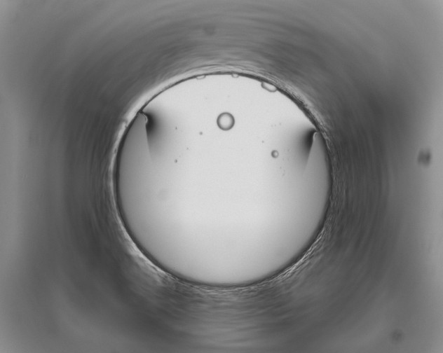 X0000096451516200802211222