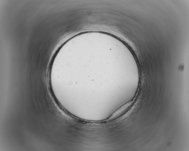 X0000096451517200802211222