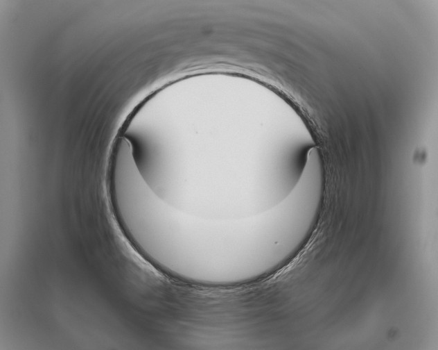 X0000096451518200802211222