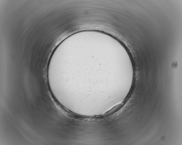 X0000096451521200802211222