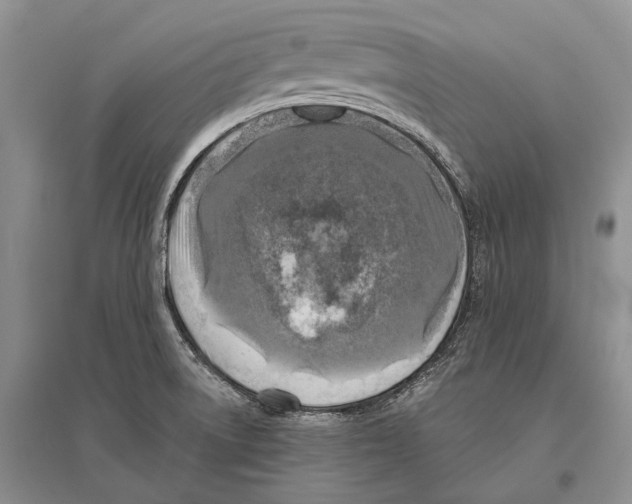 X0000096451522200802211222