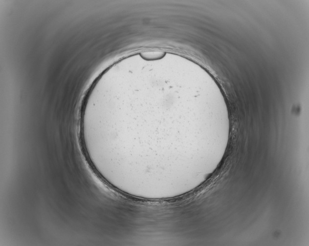 X0000096451523200802211222