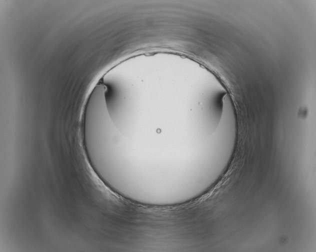 X0000096451524200802211222