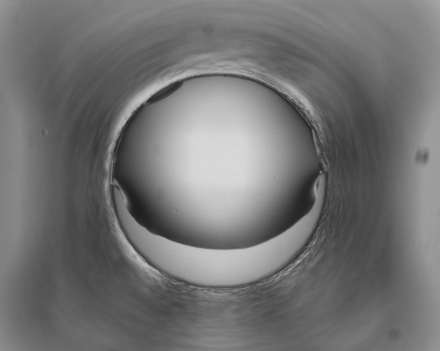 X0000096451528200802211222