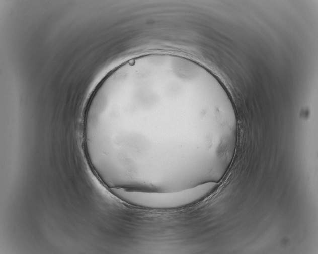 X0000096451531200802211222