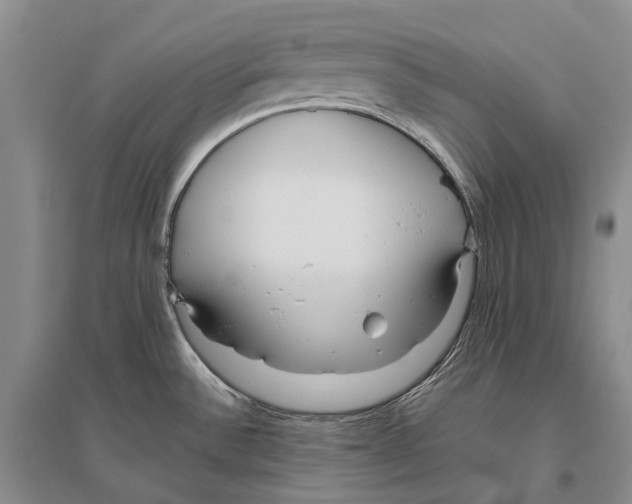 X0000096451532200802211222