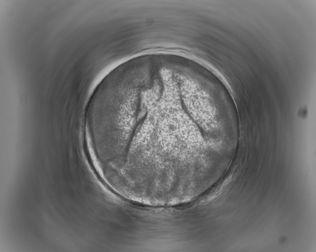 X0000096451533200802211222