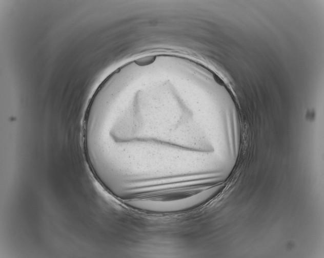 X0000096451535200802211222