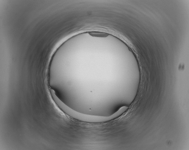 X0000096451536200802211222