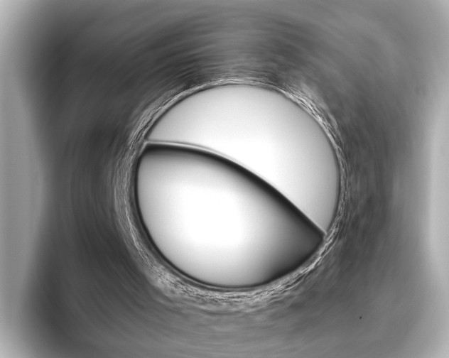 X0000096460001200801241127
