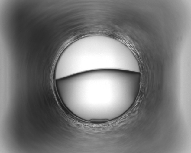 X0000096460003200801241127