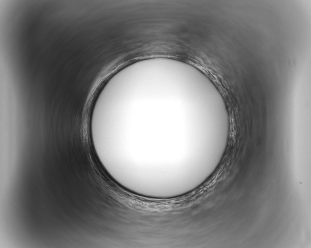 X0000096460004200801241127