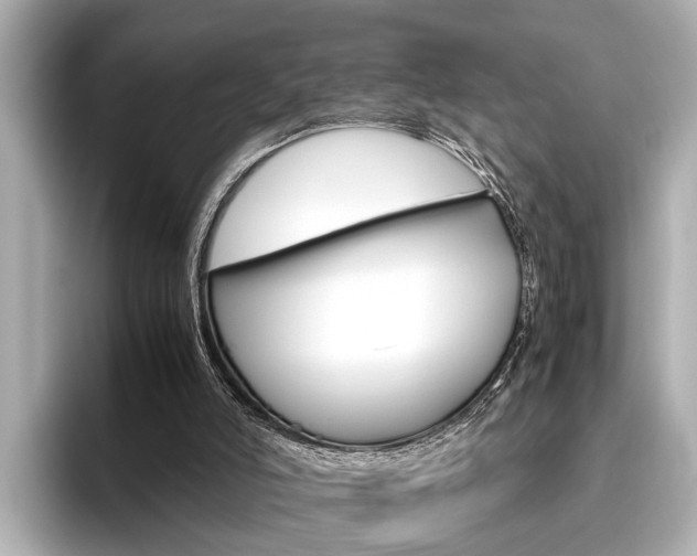 X0000096460006200801241127