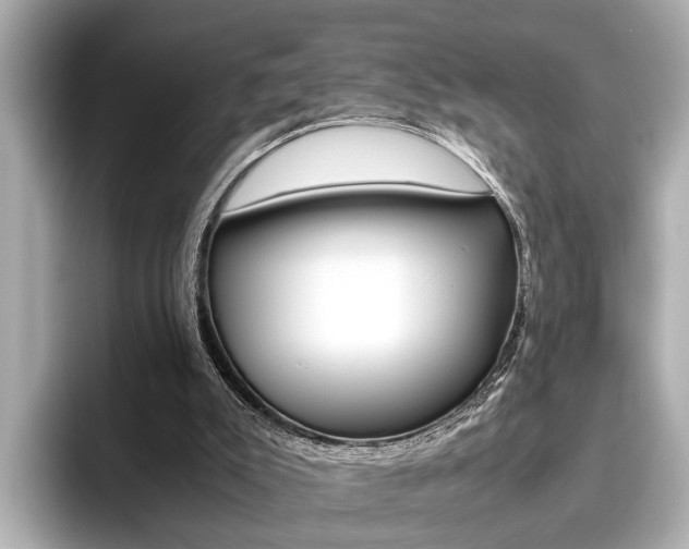 X0000096460007200801241127
