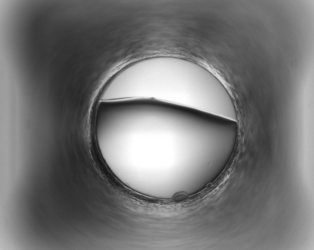 X0000096460008200801241127