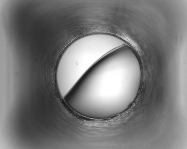 X0000096460009200801241127