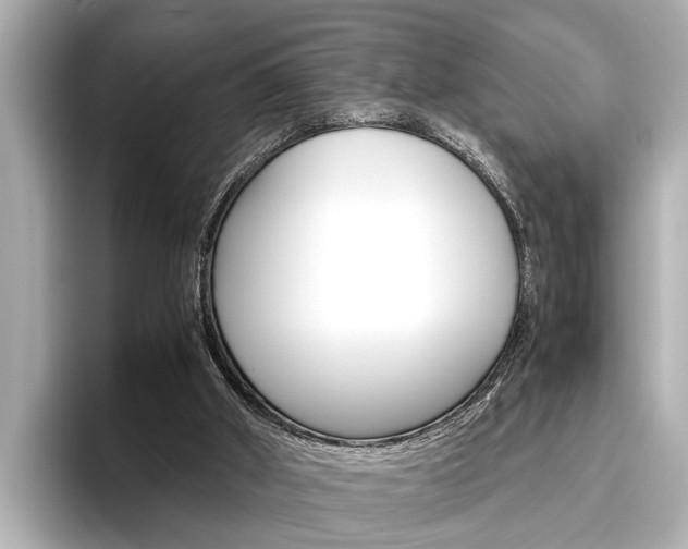 X0000096460010200801241127