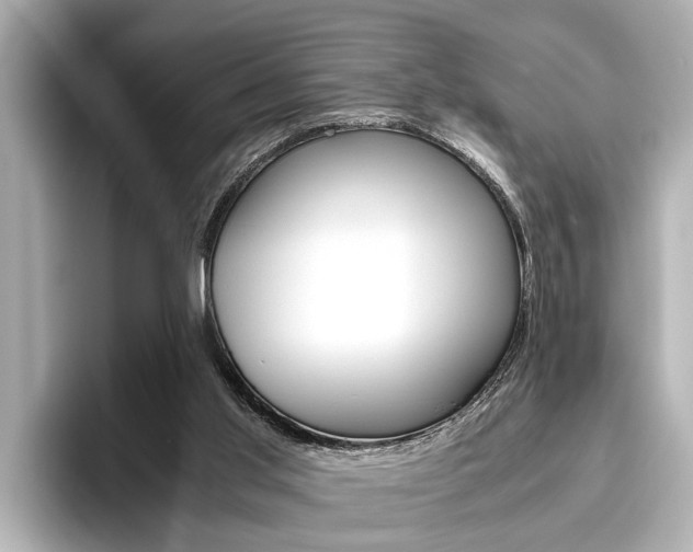 X0000096460013200801241127