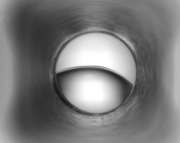 X0000096460015200801241127