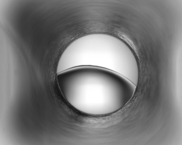 X0000096460017200801241127