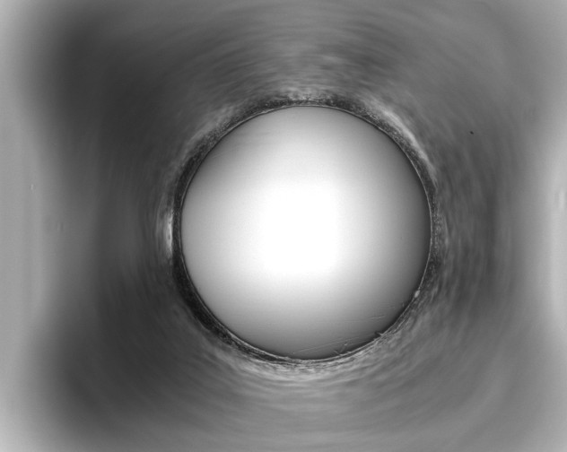 X0000096460019200801241127