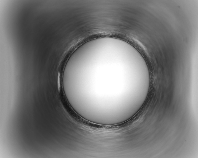 X0000096460020200801241127