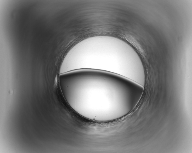 X0000096460021200801241127