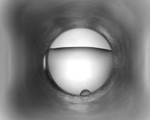 X0000096460022200801241127