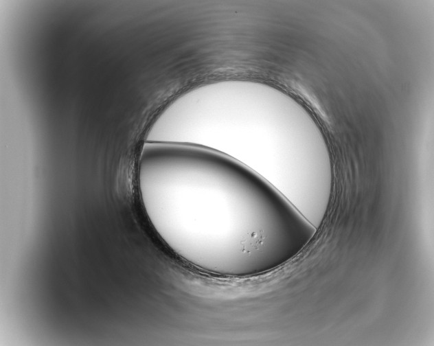 X0000096460023200801241127