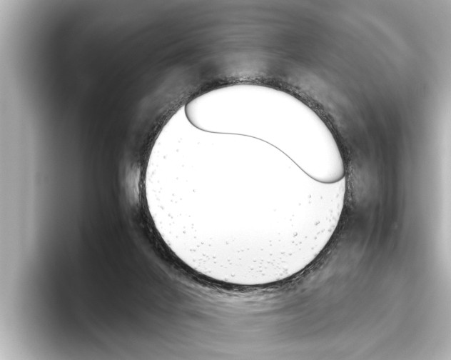 X0000096460024200801241127