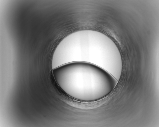 X0000096460027200801241127