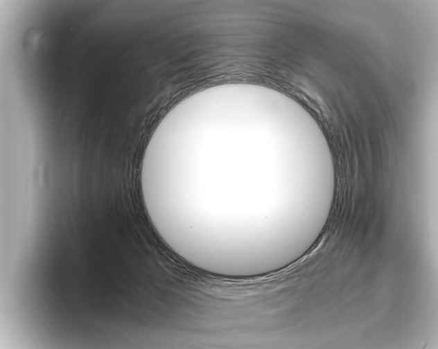 X0000096460029200801241127