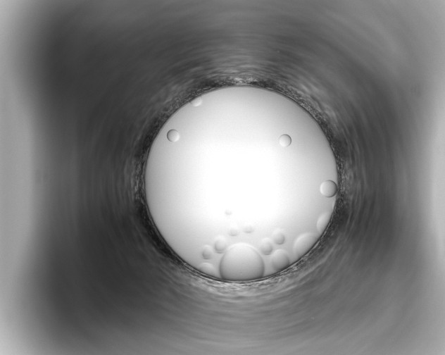 X0000096460030200801241127