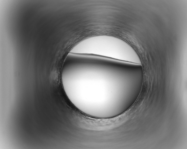 X0000096460031200801241127