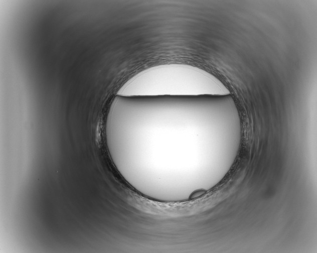 X0000096460038200801241127
