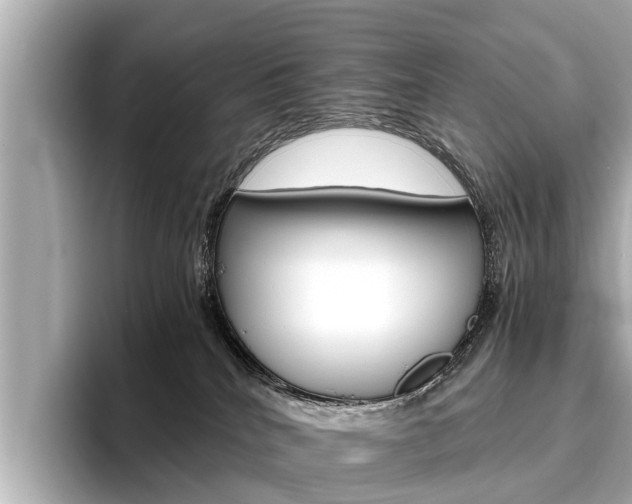 X0000096460040200801241127