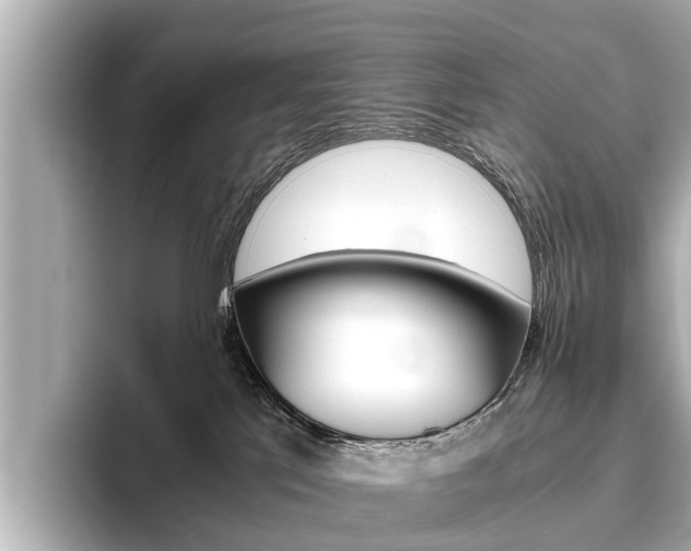 X0000096460041200801241127