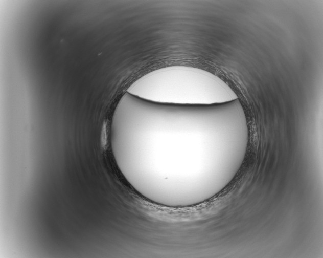 X0000096460042200801241127