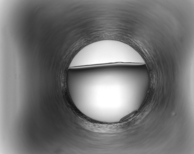 X0000096460044200801241127