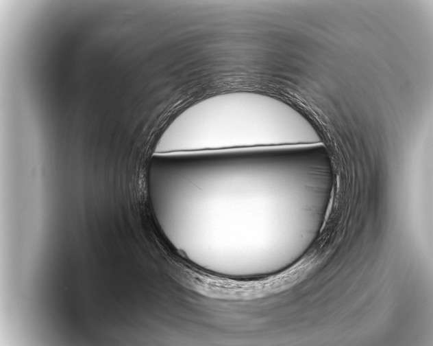 X0000096460048200801241127