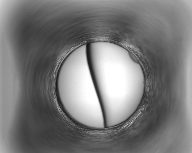 X0000096460049200801241126