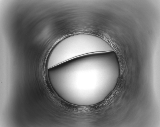 X0000096460050200801241126
