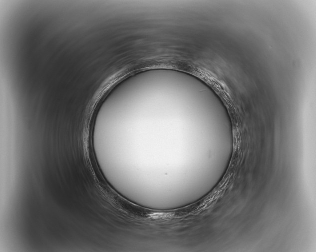 X0000096460051200801241126