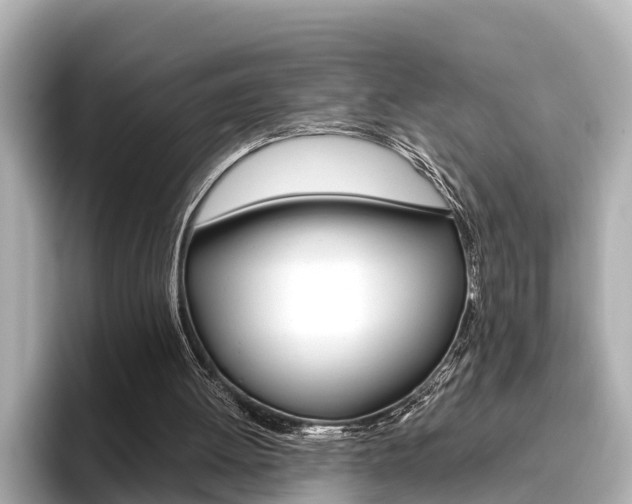 X0000096460052200801241126