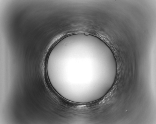 X0000096460054200801241126