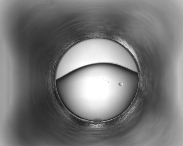 X0000096460057200801241126
